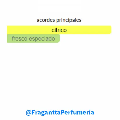 Afternoon Swim Louis Vuitton - Image 2