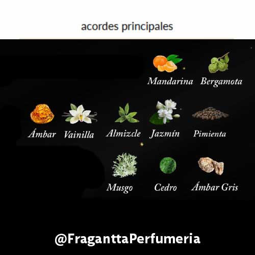 Il Voss ILMIN - Image 2